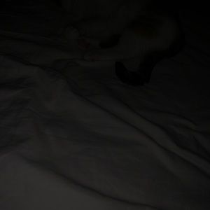 Meet your Posher, Maritza